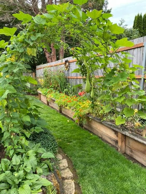 Arching Trellis Garden