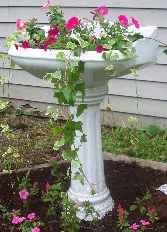 Charming Sink Planter Display