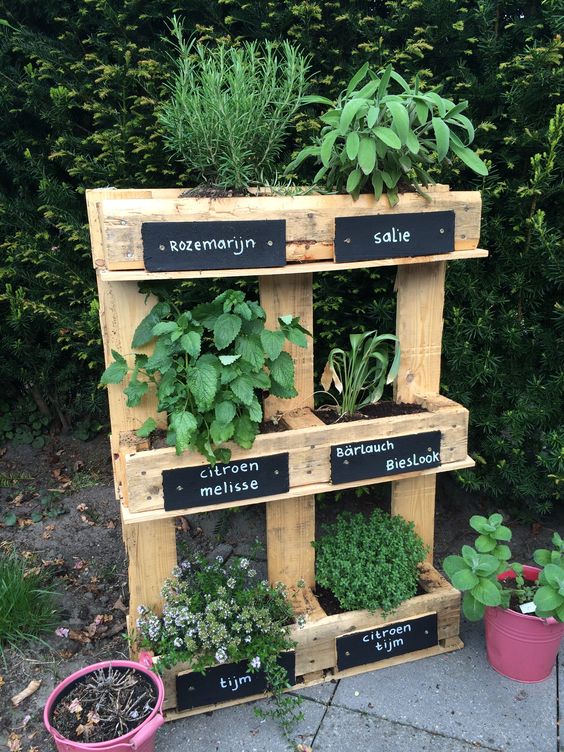 Charming Vertical Herb Garden from Recycled Pallets