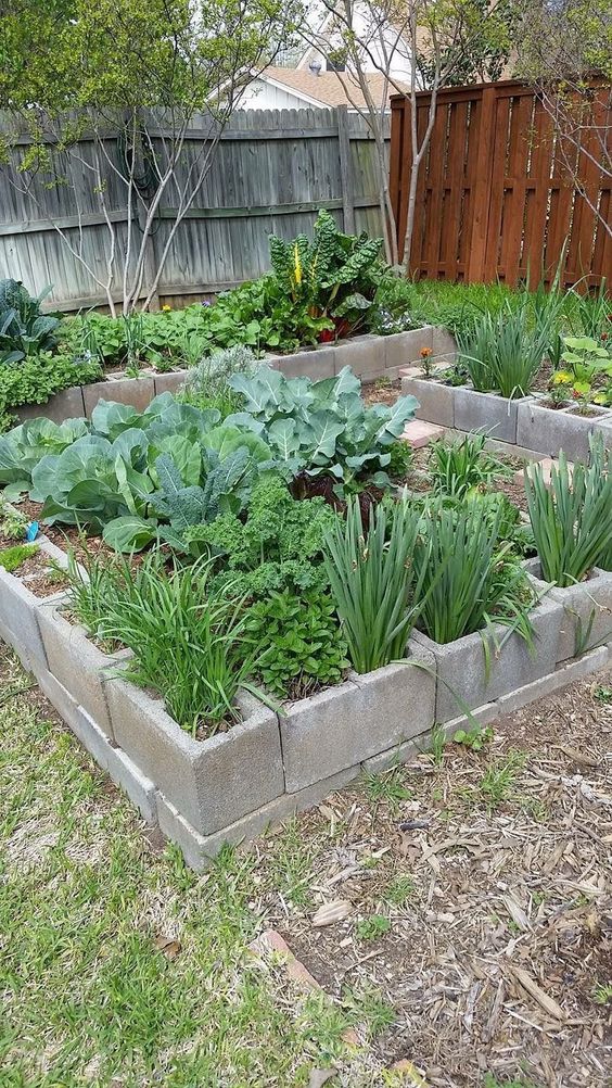 Concrete Block Raised Vegetable Garden