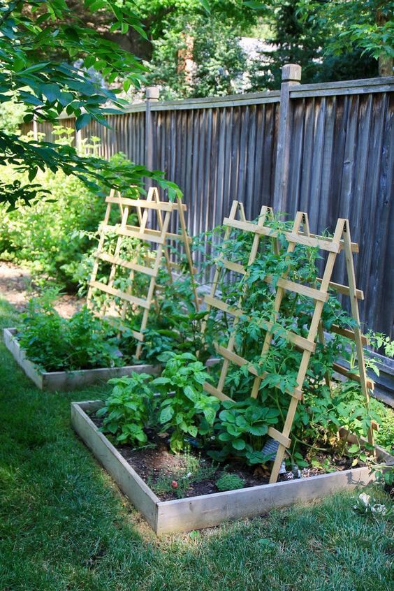 Creative Vegetable Trellis