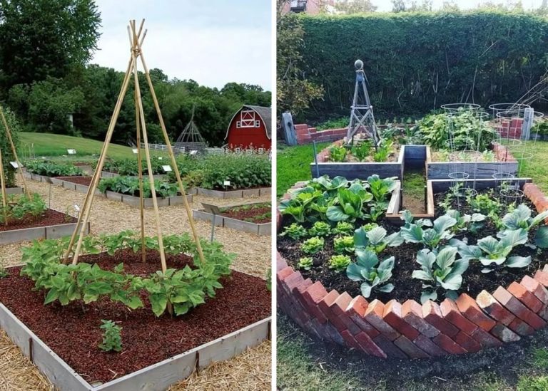 Top 20 Brilliant DIY Vegetable Gardening Ideas to Elevate Your Garden