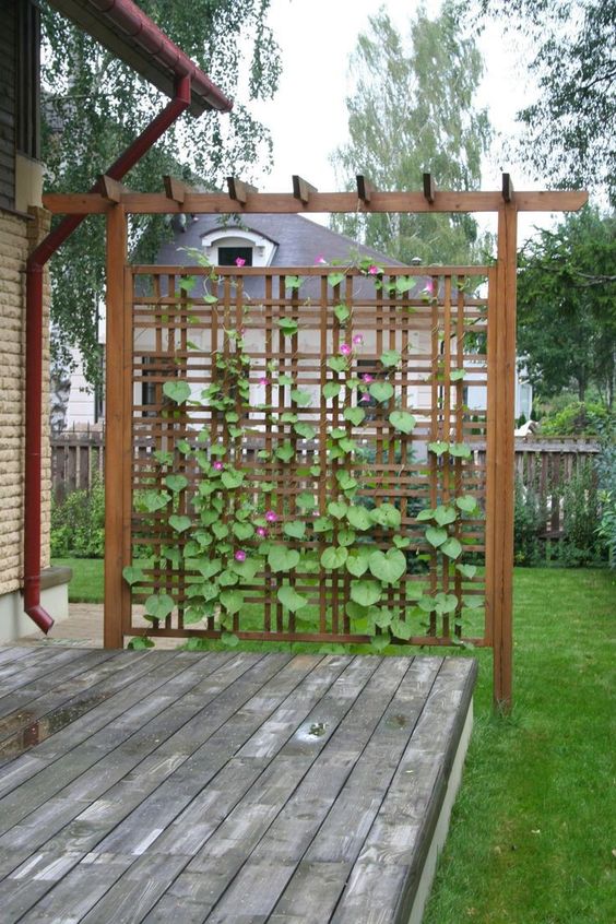 Elegant Vertical Trellis from Recycled Pallets