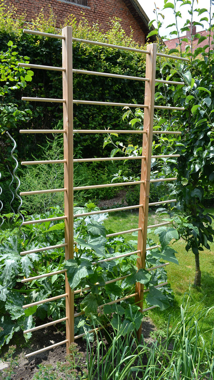 Elegant Wooden Ladder Trellis