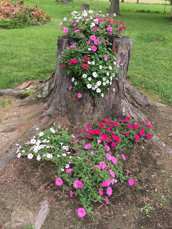 Enchanting Tree Stump Flower Bed