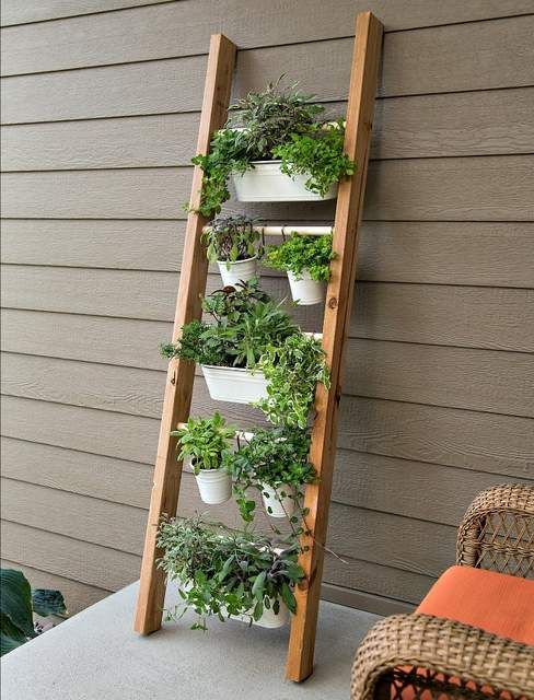 Ladder Herb Planter Display