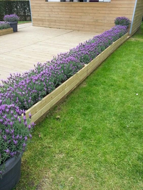 Minimalist Wooden Planter Edging