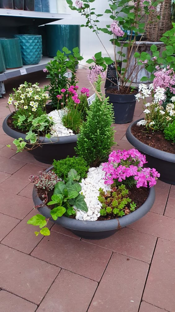 Modern Bowl Raised Garden