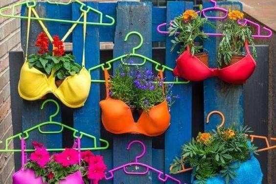 Playful Bra Planter Wall