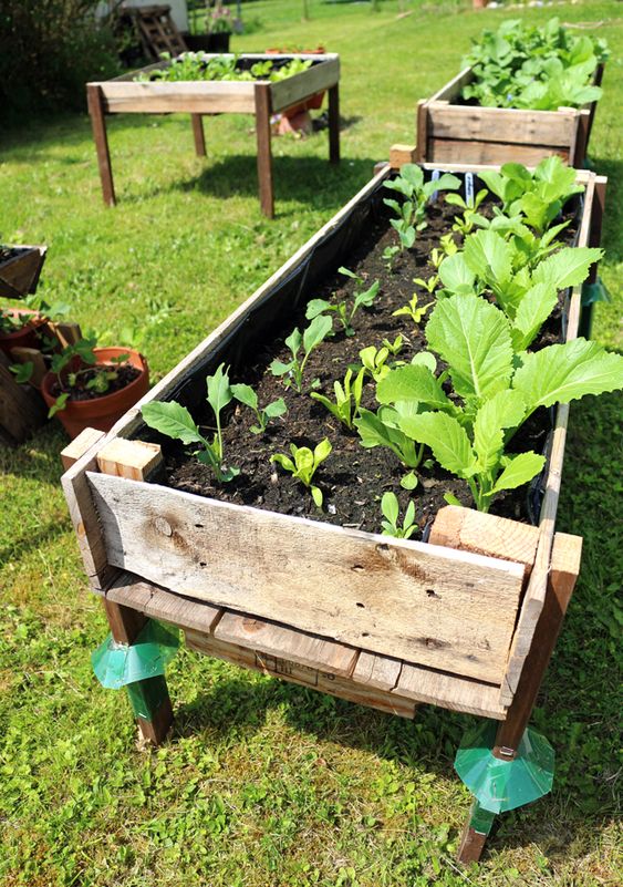 Raised Pallet Garden Beds