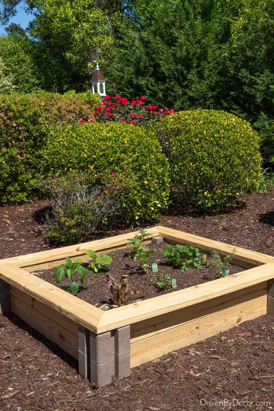 Simple and Functional Square Raised Garden Bed