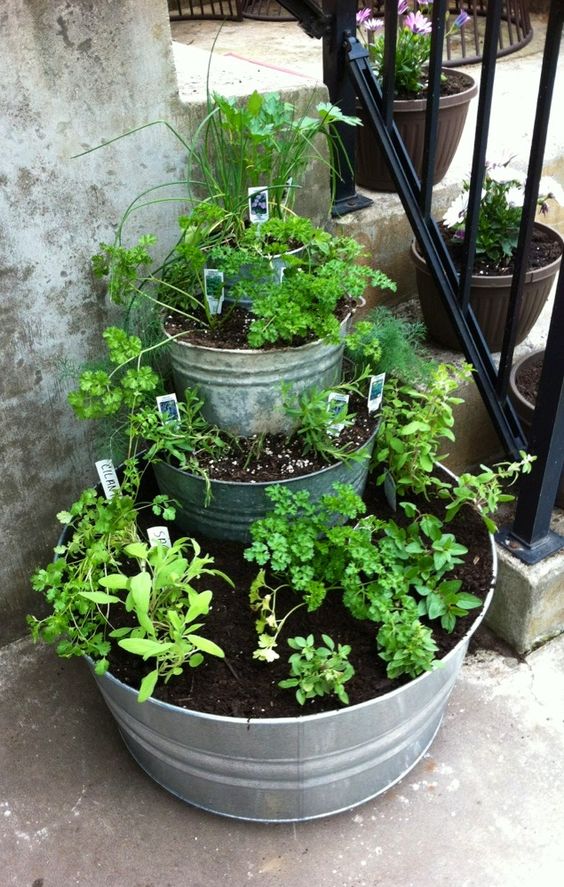 Tiered Galvanized Herb Planter