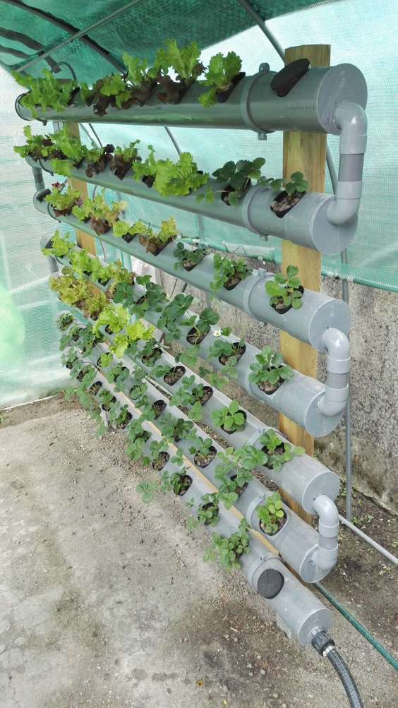 Vertical PVC Hydroponic Garden