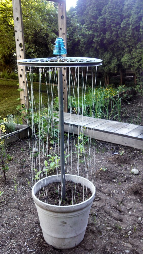 Vertical String Trellis Planter