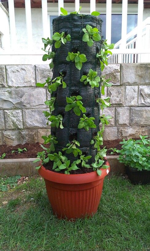 Vertical Tower Garden