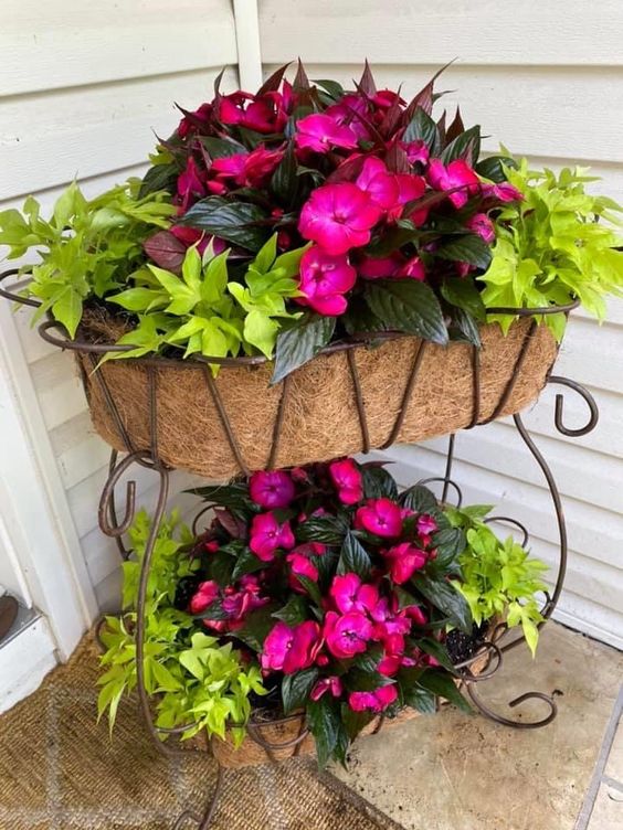 Vibrant Tiered Bloom Display