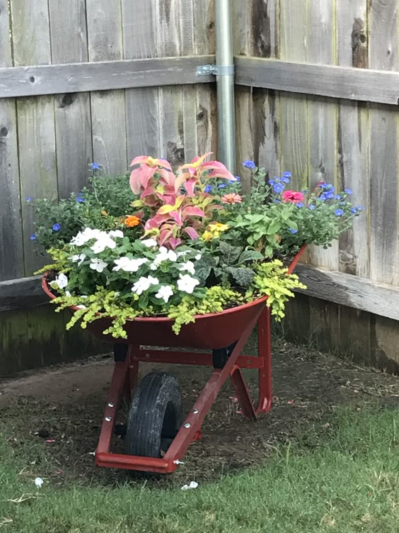 Vibrant Wheelbarrow Garden Bed