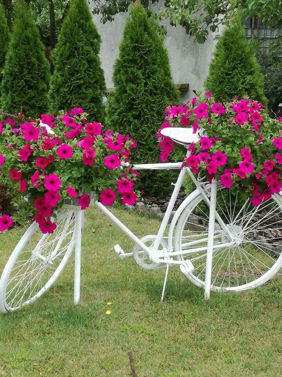 Vintage Bicycle Bloom Display