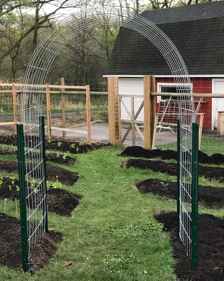 Arching Wire Garden Gateway