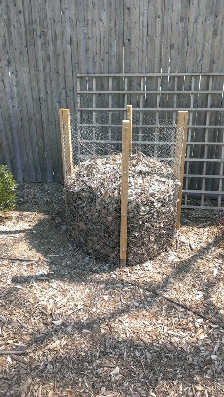 Caged Compost Bin