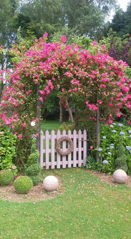 Charming Floral Archway and Gate