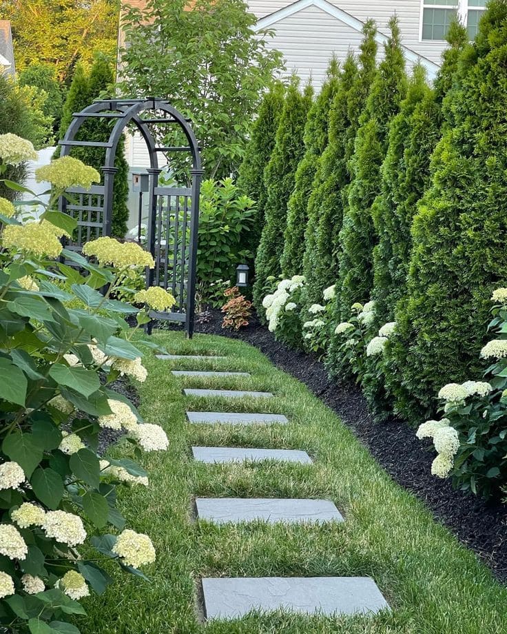 Elegant Arborvitae Garden Edging