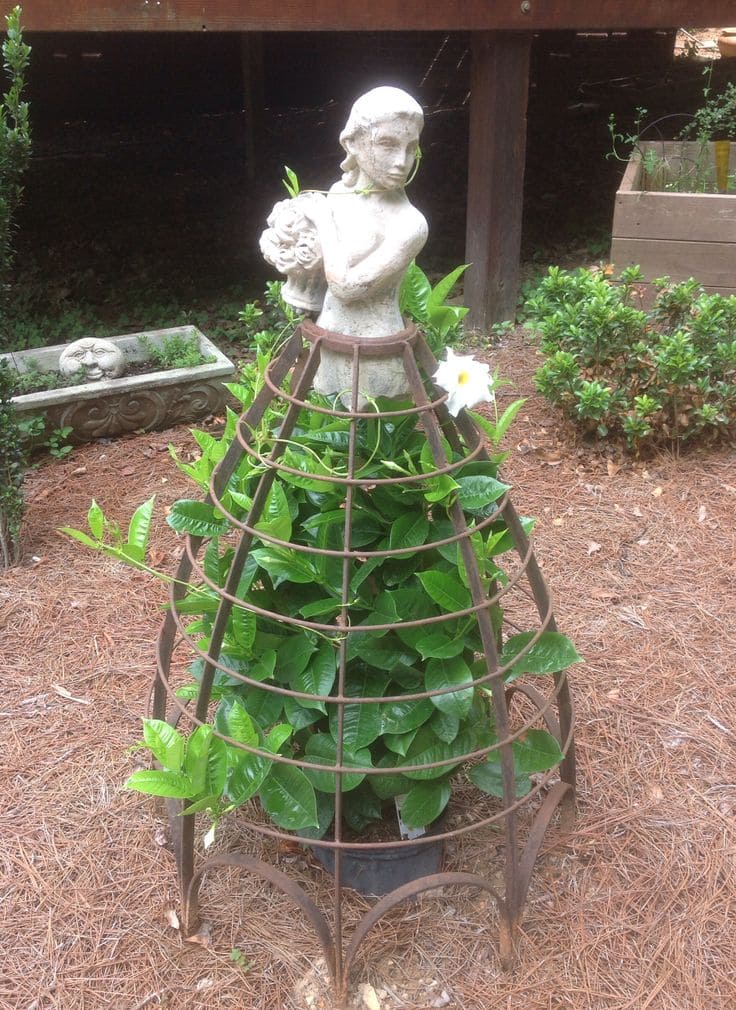 Elegant Plant Cage Garden Sculpture