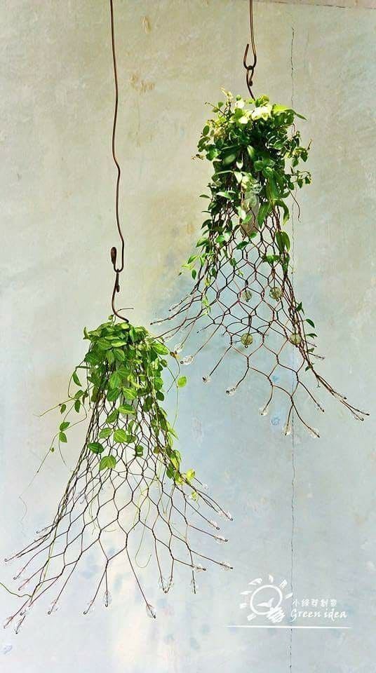 Hanging Wire Planter