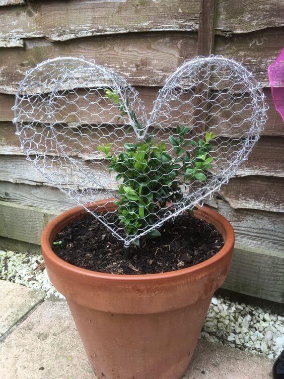 Heartfelt Wire Plant Cage