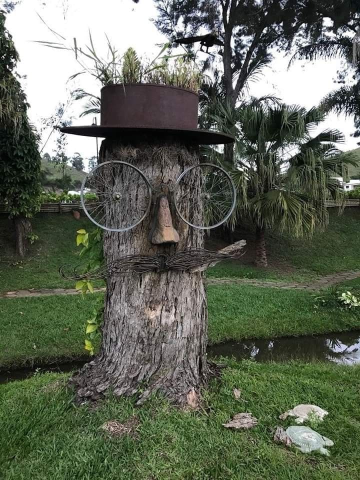 Quirky Tree Stump Man