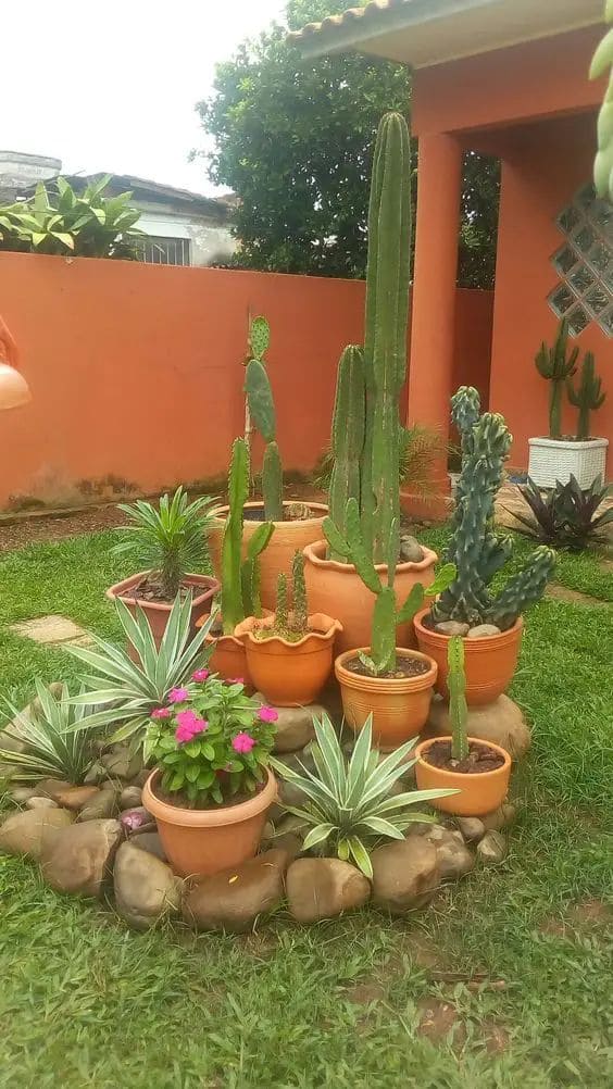 Rustic Cactus and Rock Garden