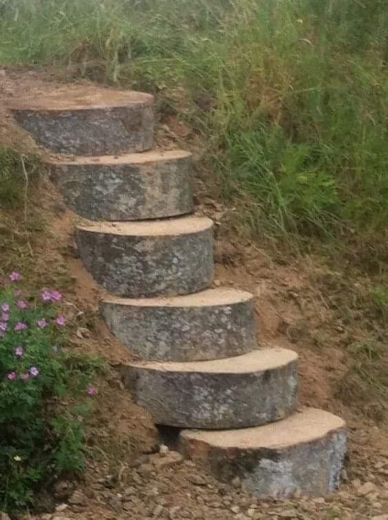 Rustic Tree Trunk Steps