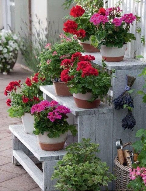 Rustic Wooden Stair Planters