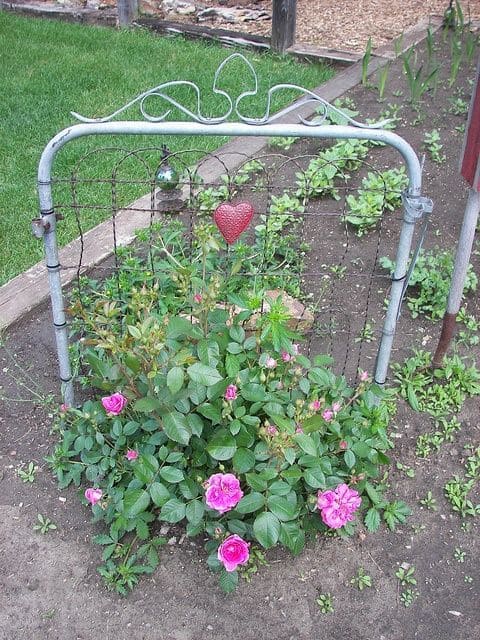 Rusty Gate Wire Garden