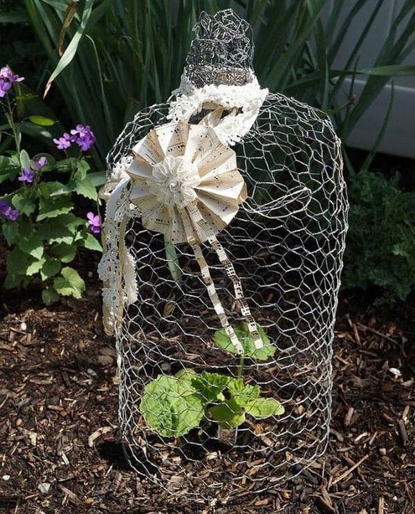 Shapely Chicken Wire Cloche