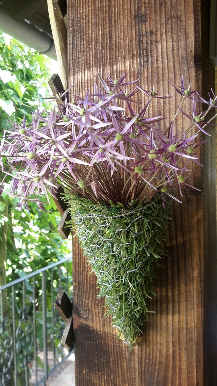 Wire Mesh Planter Display