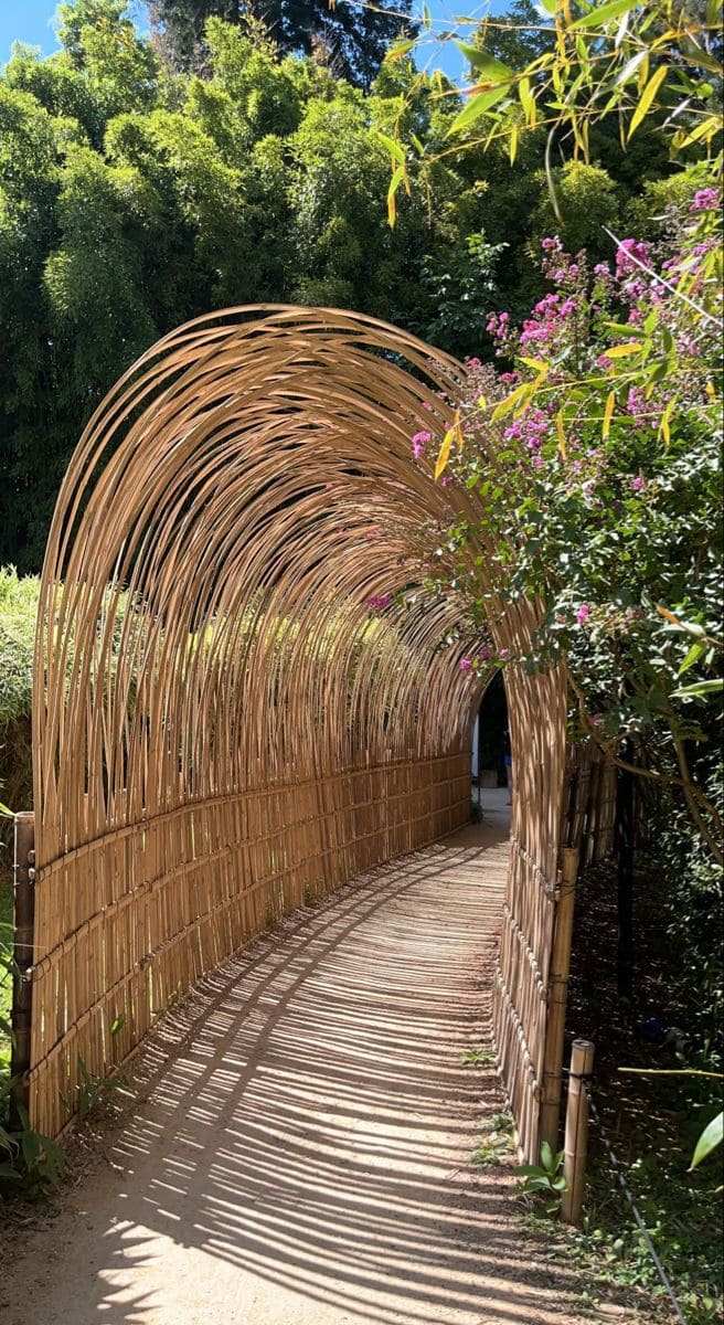 Bamboo Archway of Tranquility