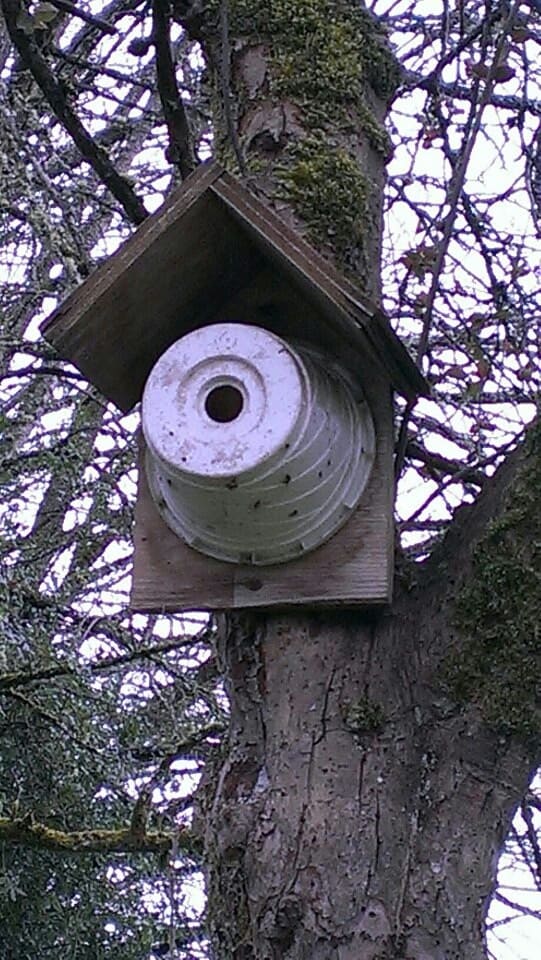 Birdhouse Made From Buckets