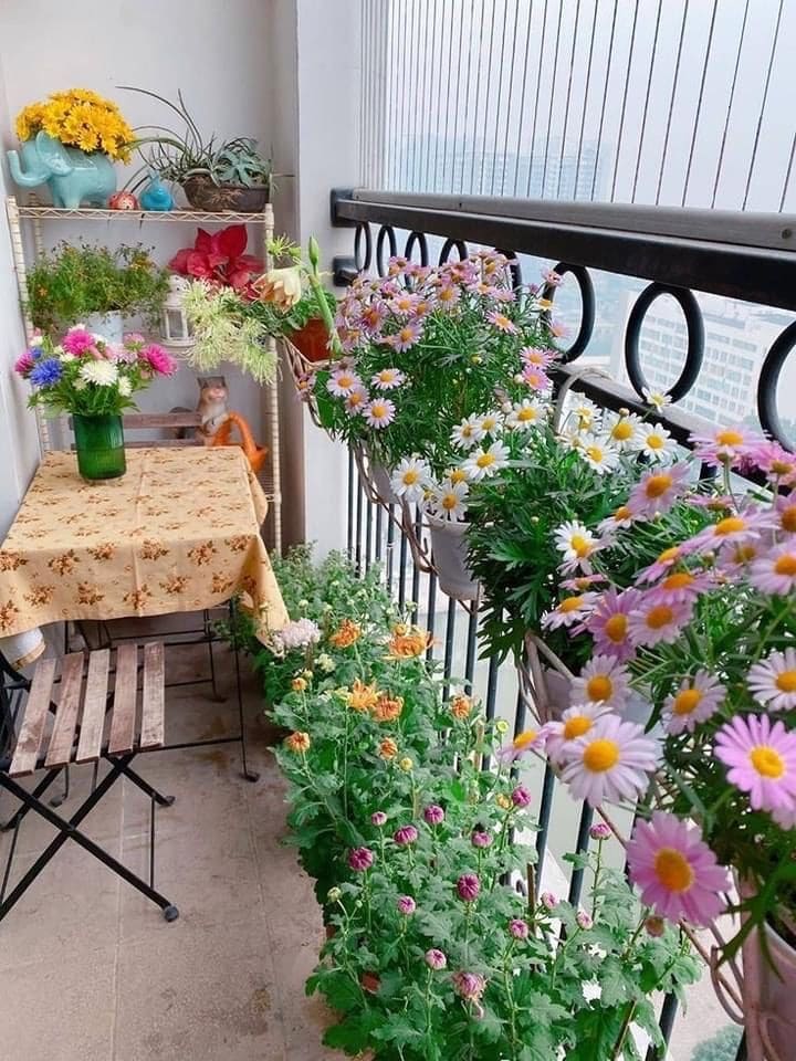 Blooming Balcony Garden Oasis