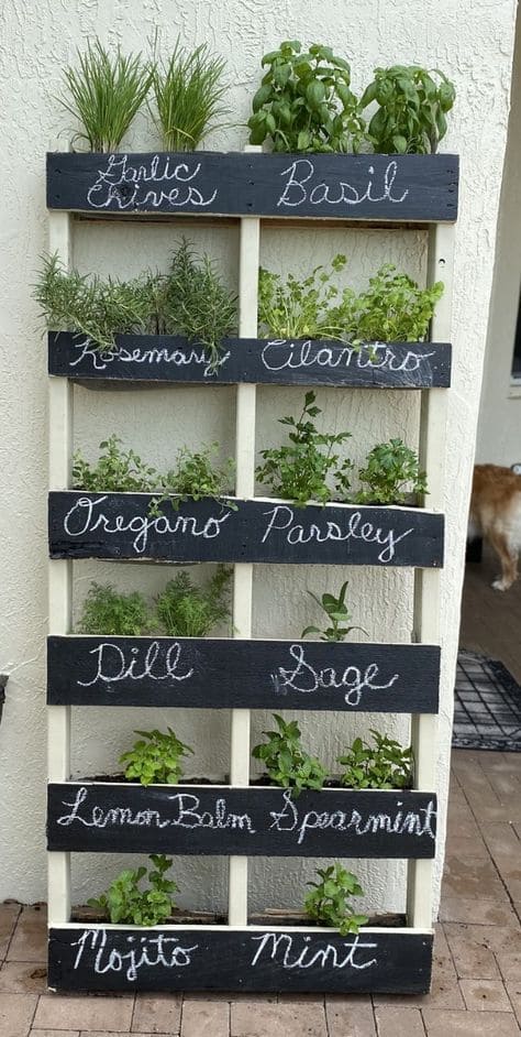 Chalkboard-Labeled Vertical Herb Planter