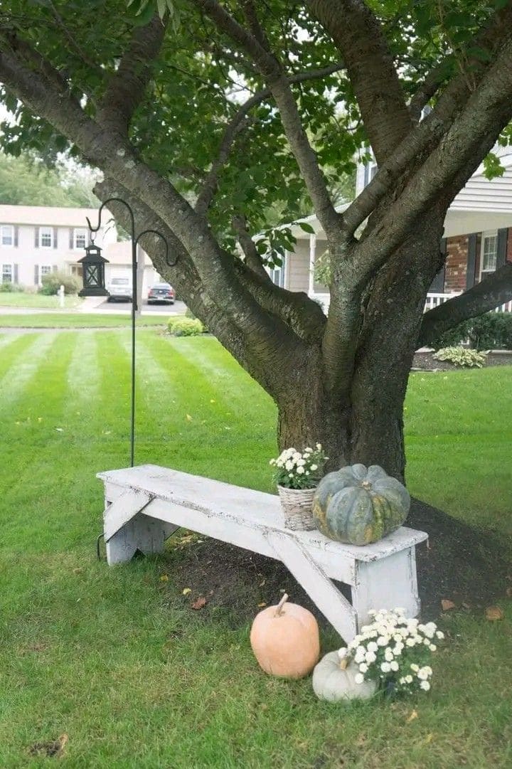 Charming Rustic Bench Tree Display