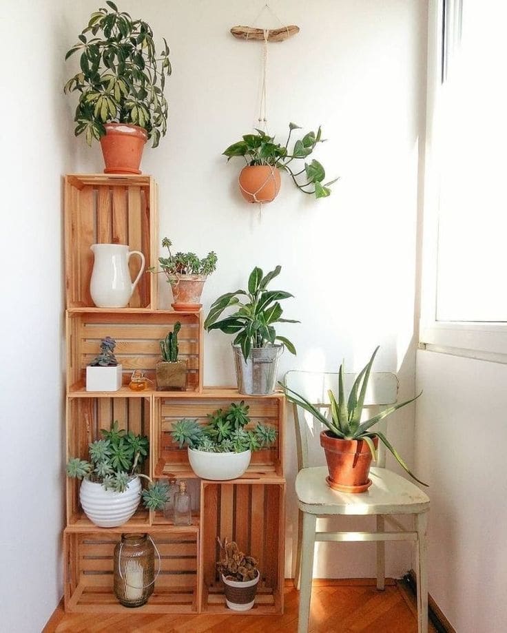 Charming Wooden Crate Plant Display