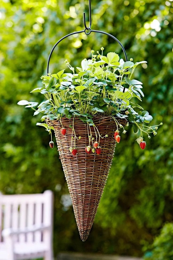 Charming Woven Cone Strawberry Planter