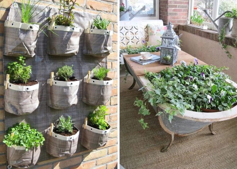 25 Brilliant Container Gardening Ideas to Elevate Your Garden’s Charm