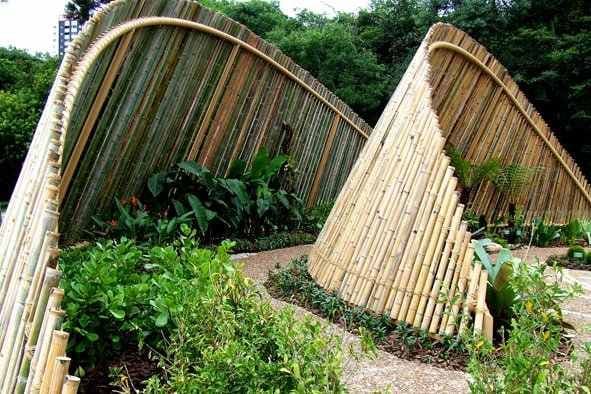 Curving Bamboo Garden Partition