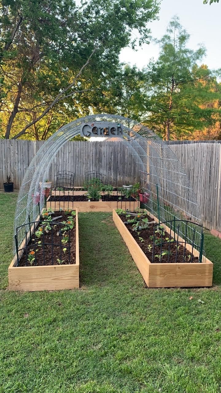 DIY Cucumber Trellis with Raised Beds