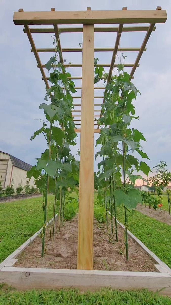 DIY Wooden Cucumber Trellis