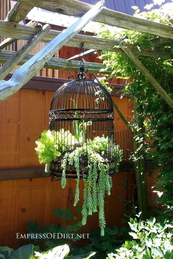 Elegant Birdcage Hanging Garden Display