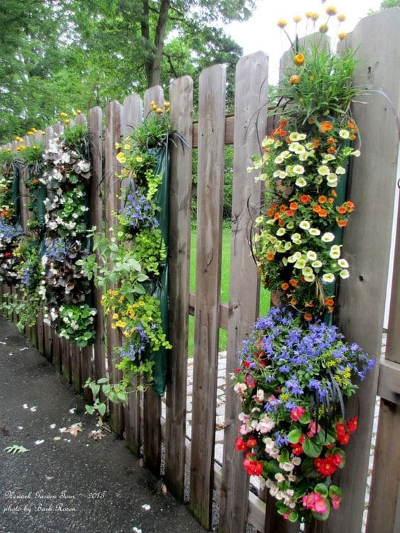 Floral Cascades on Wooden Fence