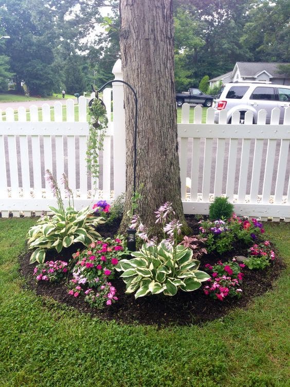 Floral Landscape Around Tree Base